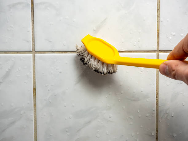 Best Local Mold Removal Service  in Kiawah Island, SC